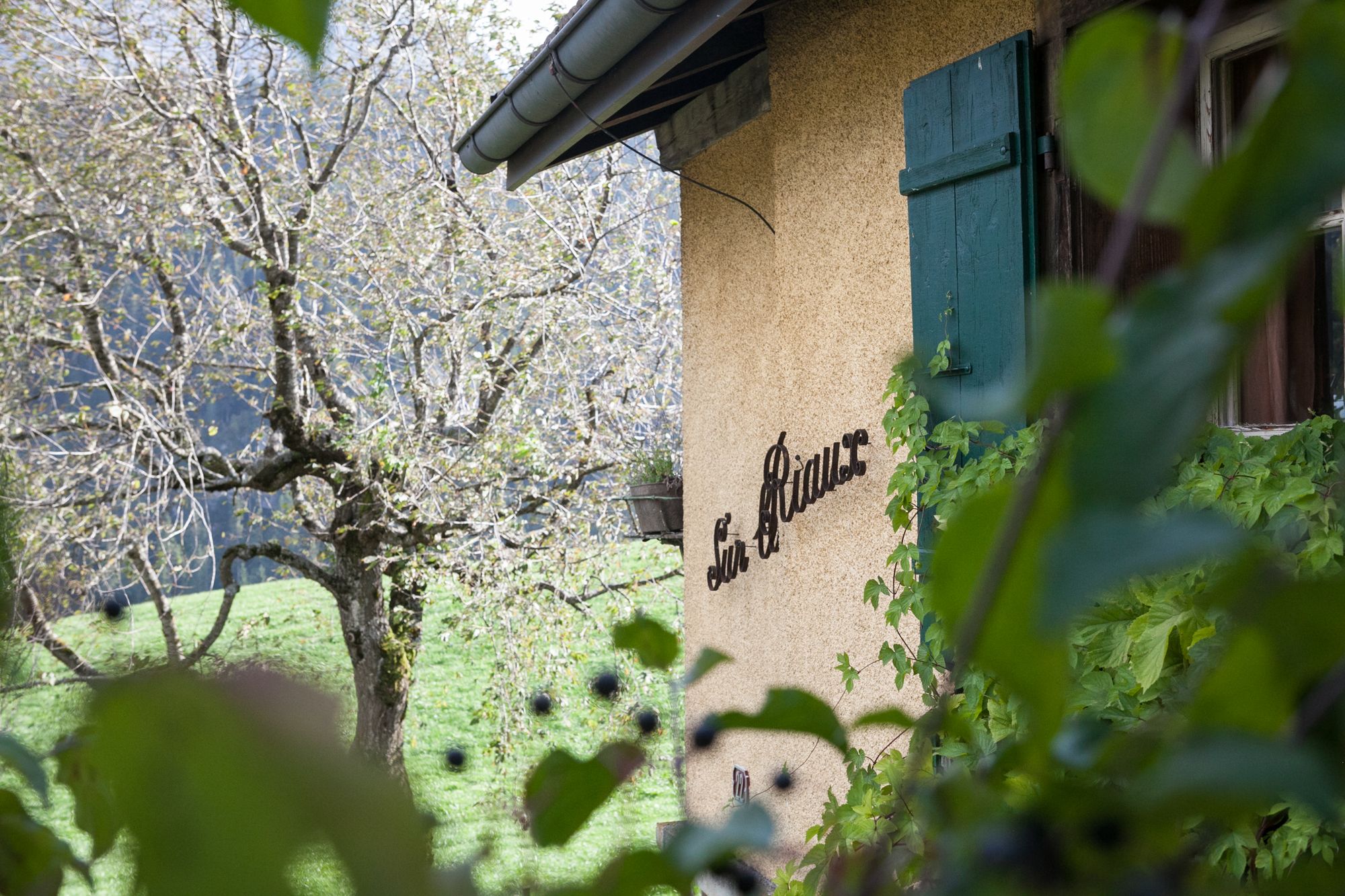 La fenêtre du cabinet de naturopathie vue de l'extérieur
