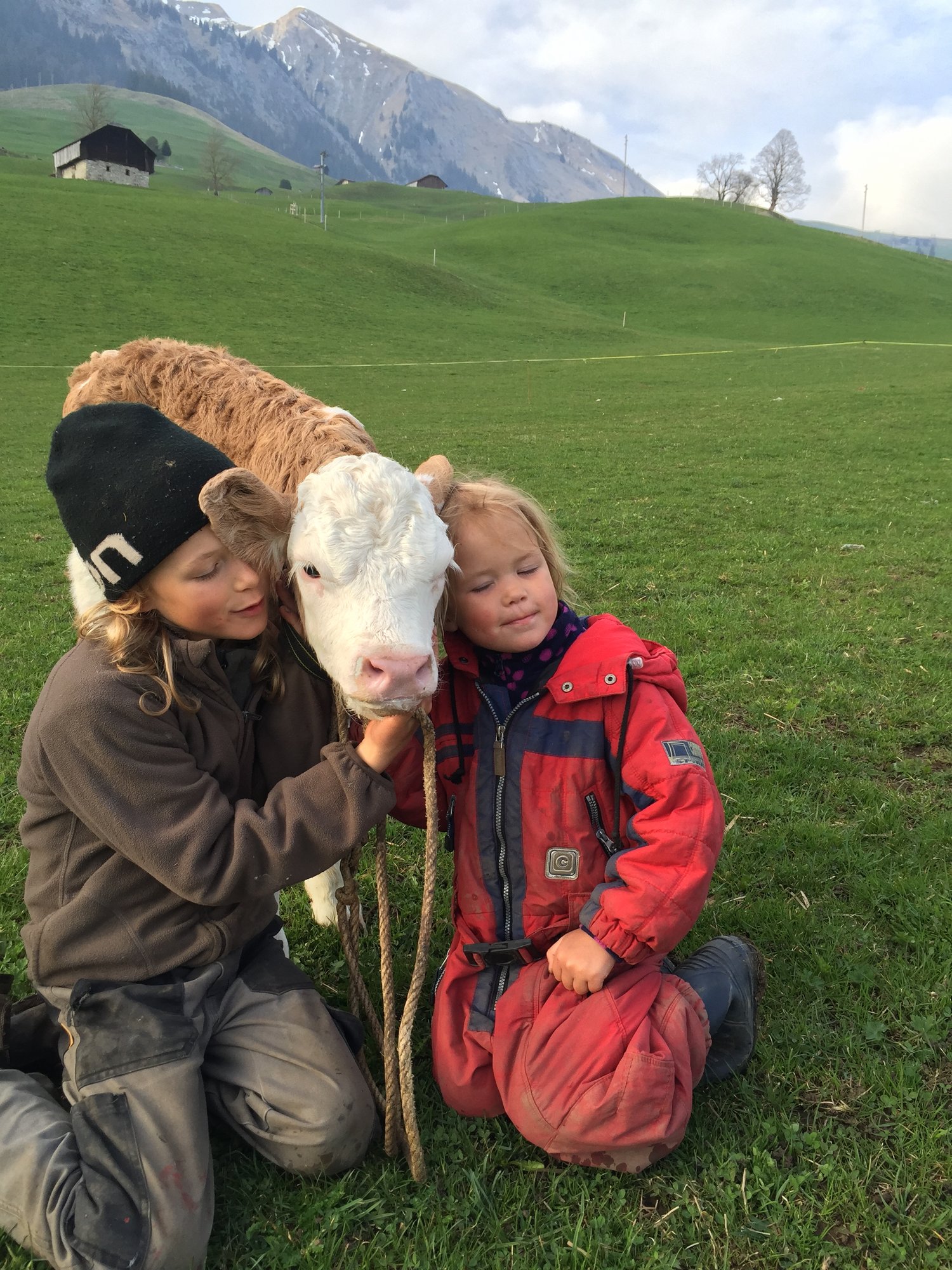 Les enfants avec un petit veau à la ferme