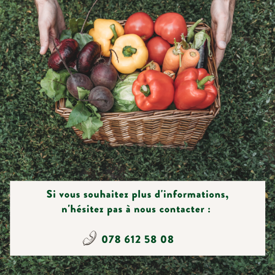 Panier Livraisons à domicile information telephone