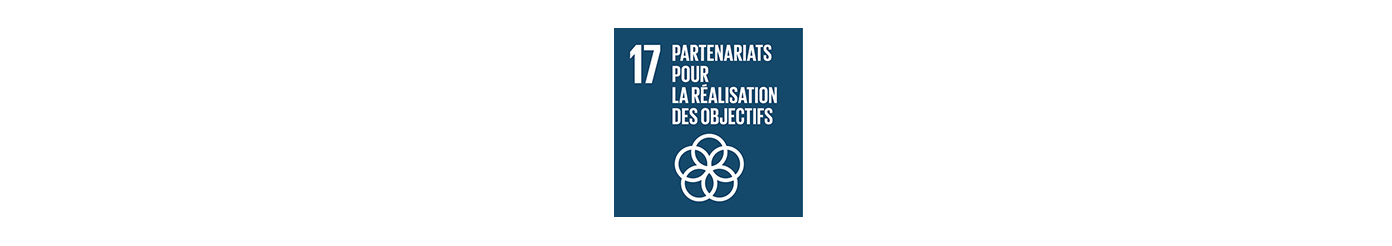 Objectif de Développement Durable 17